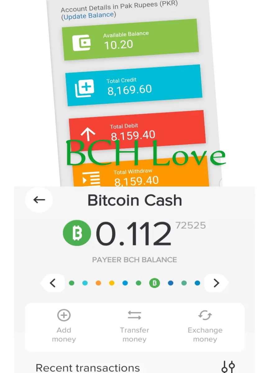 My BCH earning in PKR.