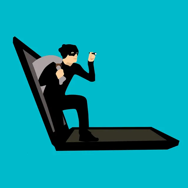 theift, hack, cyber crime