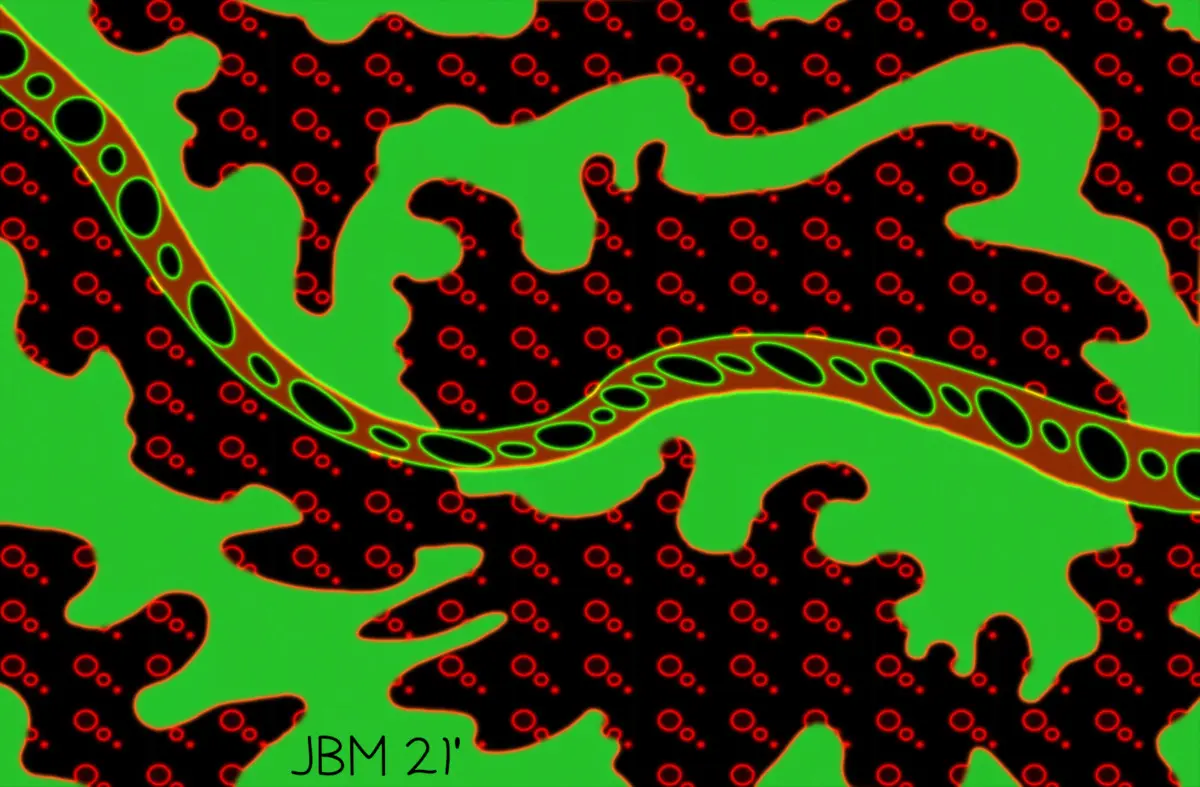 fdc258ea799d61368a7af296d3e97df13224718441774cef713c5b0a9f55a573.jpg