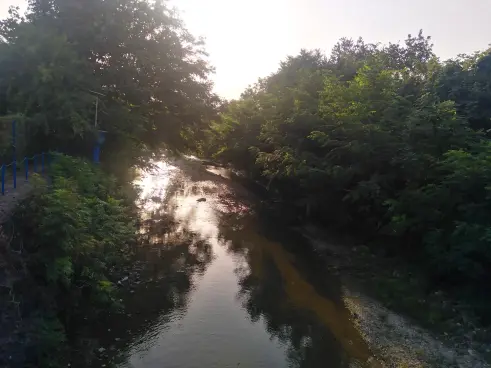 Cycling Journey to The Forests & Swimming | I Was The Only Girl
