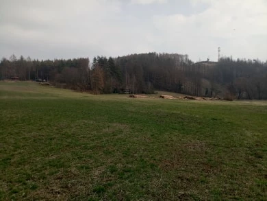 190903265-c8c4f5aeba70eaefa5e3979e911c96269c7dc0255842e2eb1f4753dd87212f32.jpeg
