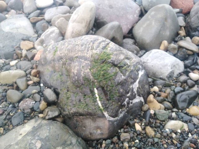 Rock Haunting by The Beach | A New Obsession of Mine!