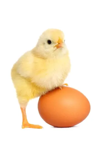cf42f07d0030715157b5b482af0655461eeb3c652eab96705b9bf8e6698a797f.jpg