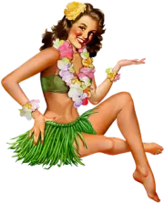 hawaii vs PA