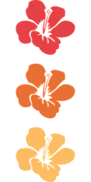 5a8d55791f0b1790c2eb953ee83dde523f96ca6dd9e2f10a5ff14558a21228ce.png