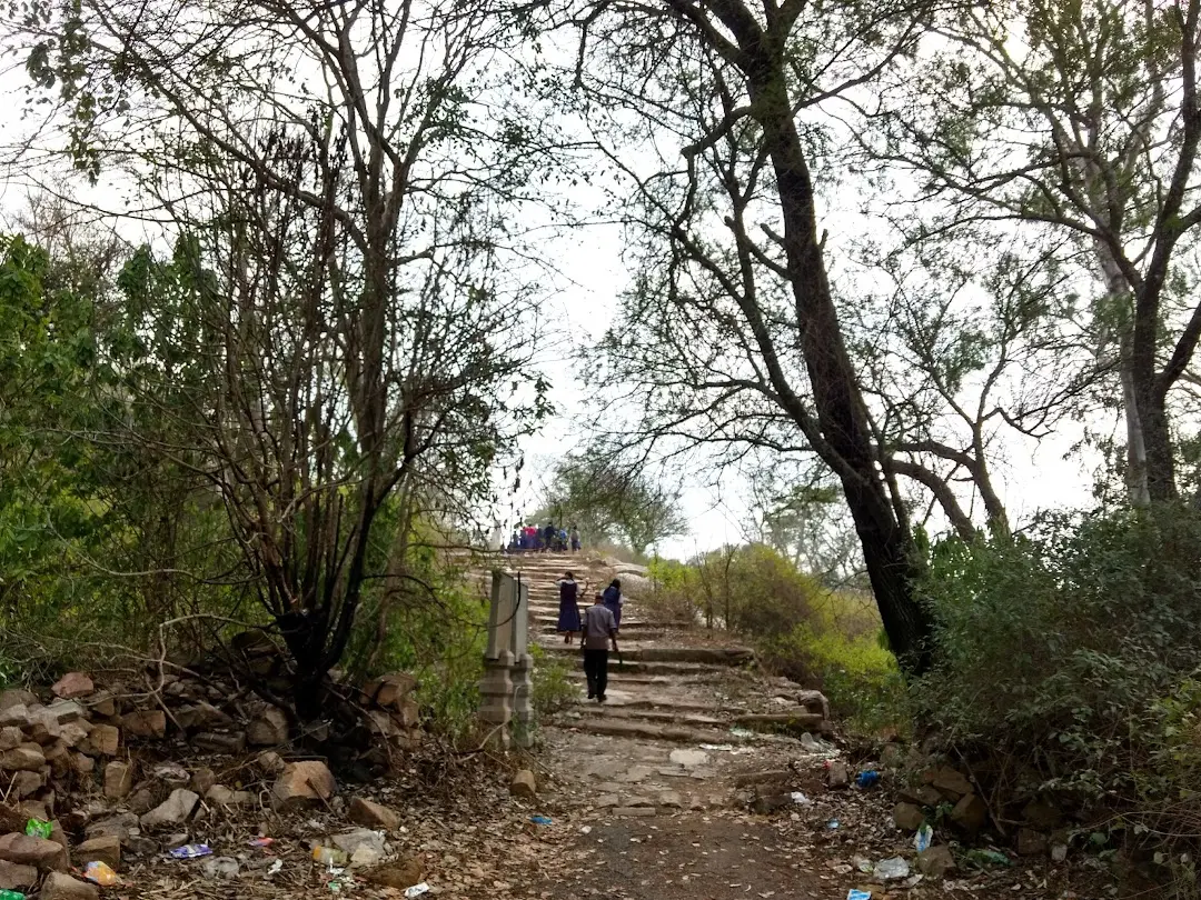 travel, photography, india, nature, lifestyle