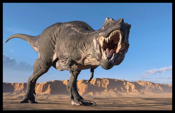 Tyrannosaurus Rex