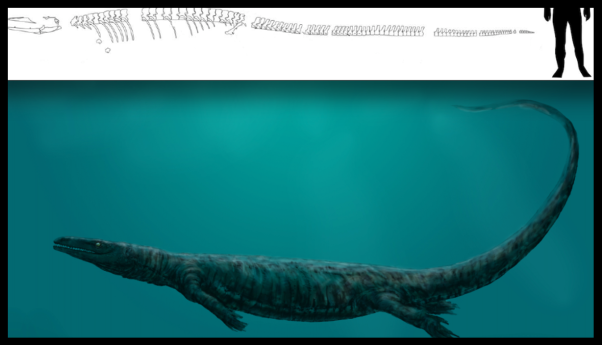 Ancient aquatic Komodo dragon - size difference with man