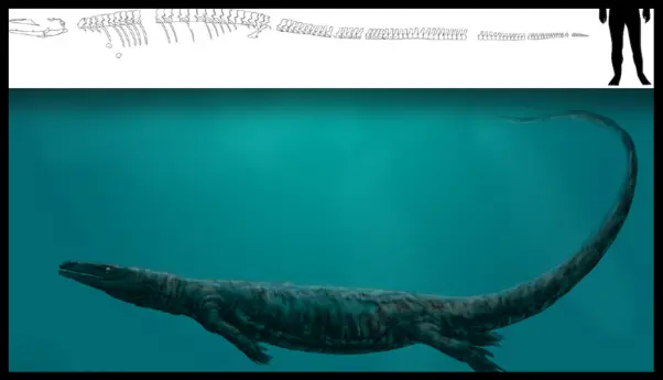 Ancient aquatic Komodo dragon - size difference with man