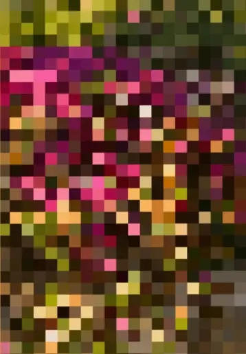 5e0fa3b854543414a2720645fb7bc288e59443ea401e00da45eea16df2c4abba.gif