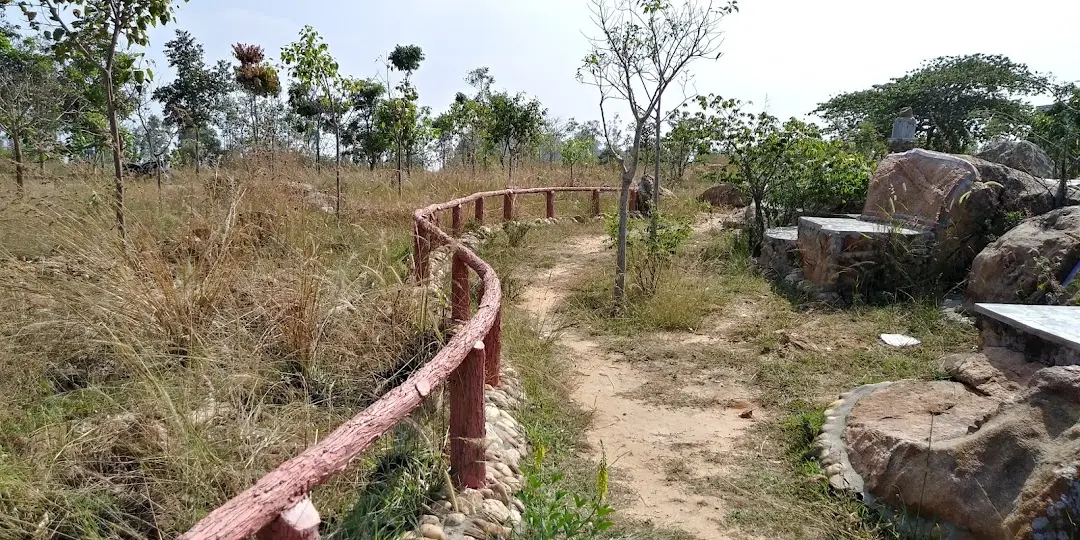 travel, photography, india, nature, lifestyle