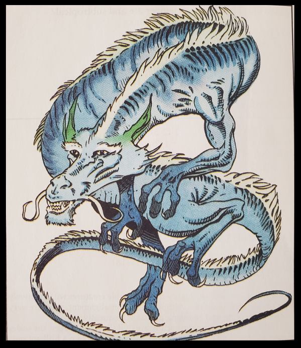 Mist Dragon from DND Monstrous Manual 2nd Edition