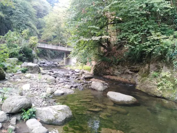 Nature Swimming Instructions For Girls in Suffocating Lands