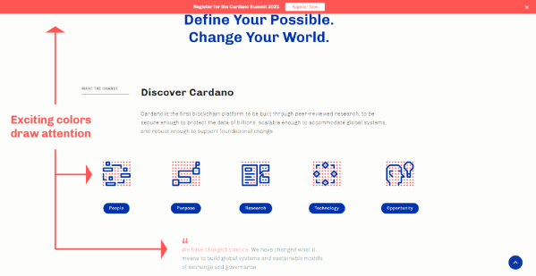 Cardano using exciting pink for important information