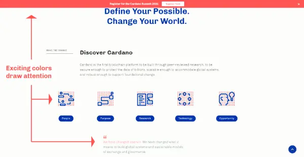 Cardano using exciting pink for important information
