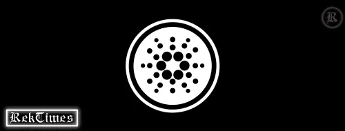 daaa8eaeab6b54e13ec027214ad0a00b215a384c24346384573a6f2999460430.png