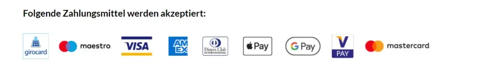 Screenshot BVG Accepted Payment Methods