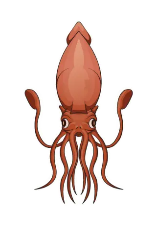 d8c1efd20b5bbebcce105c42ea2adae404fb57990b4b7ffae50201b27f98f62e.png