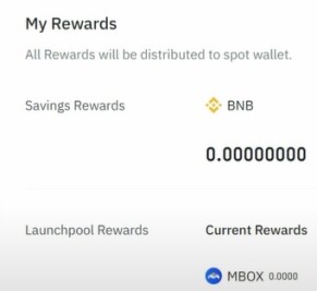bnb-vault-view