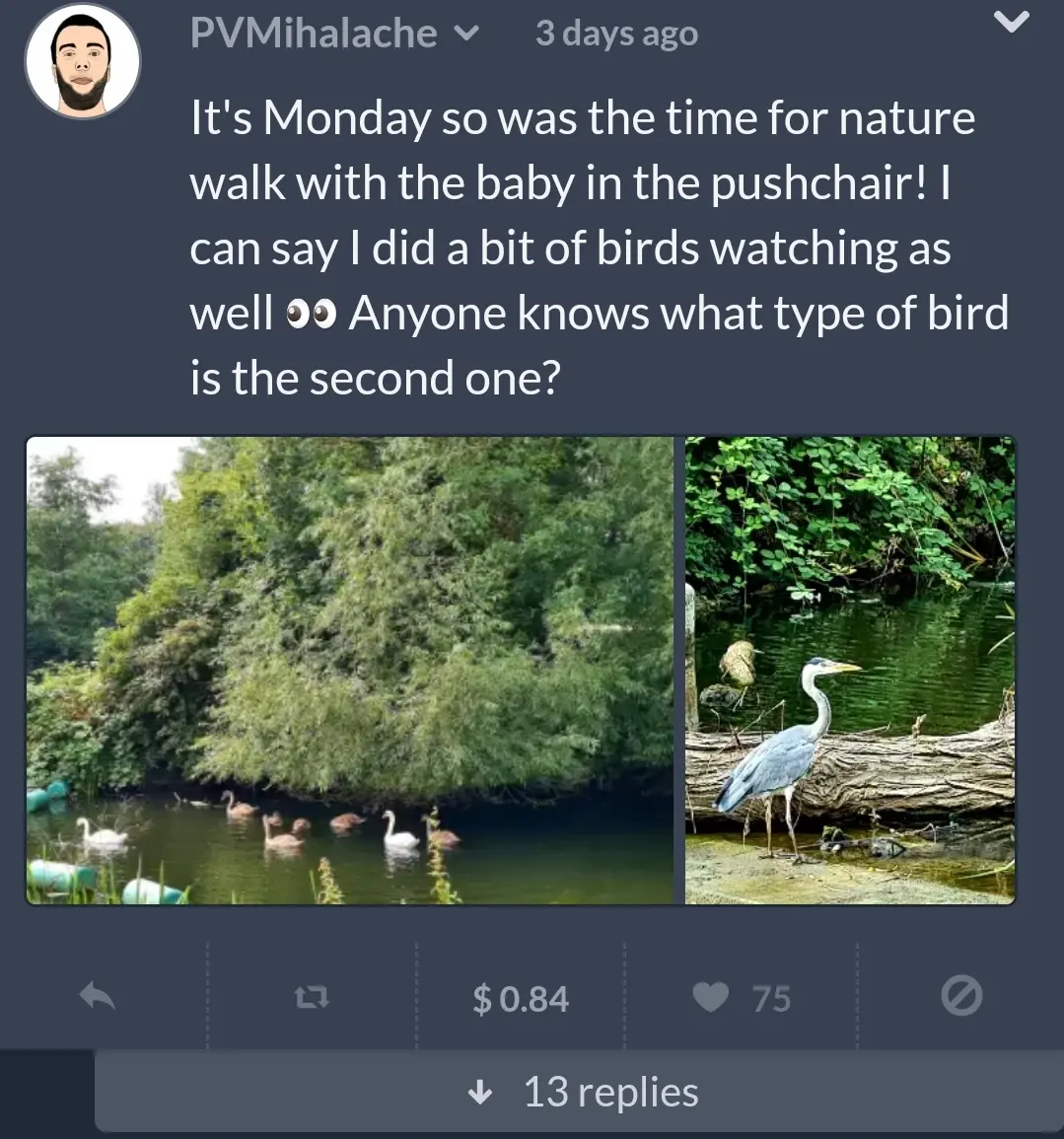 3b3f0f7f63bd4f427d36249c9972ad3aea30b5292696a8752ed1324e744c1f33.jpg