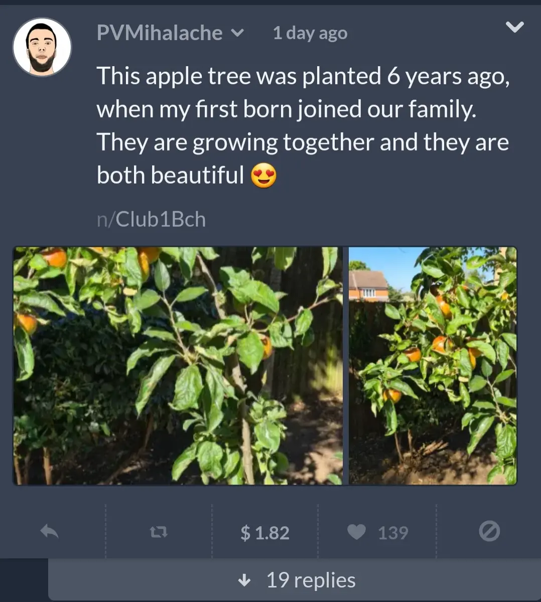 06d8a5f627b96aafa16d047ef55265b9127129ef310a3482fcd122a1f78923c4.jpg