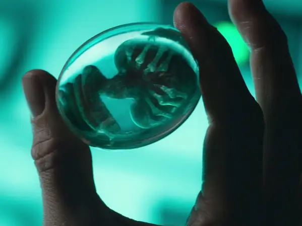 Face hugger embryo engineered by David the Robot in Alien Covenant (Ridley Scott, 2017)
