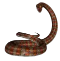 9aad72a4ac8ca910e0e1b4f0f6268cac6569f85b881d8c8c1cb52aeea4cd9774.png