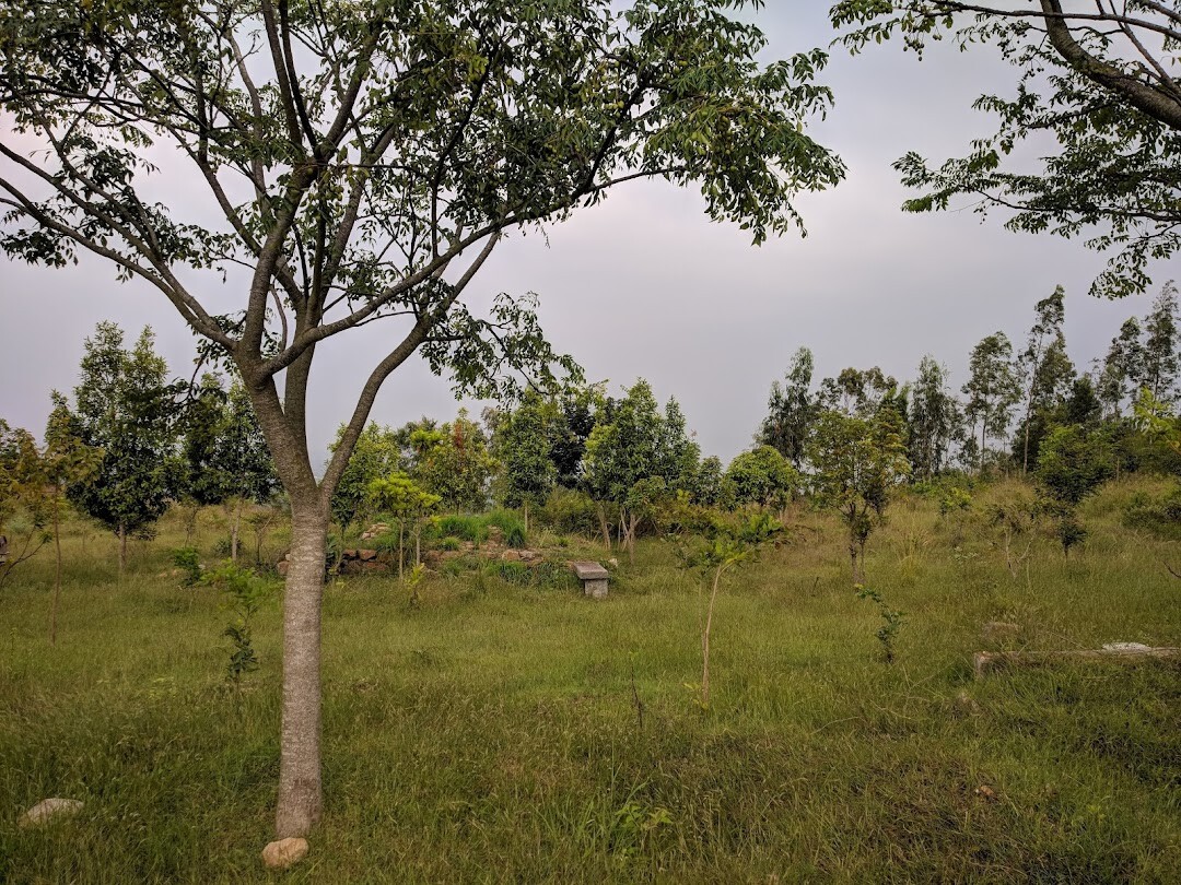 nature, greenery, travel, outdoors, lifestyle, india, melukote, danushkoti