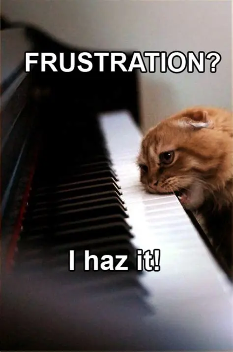 Frustration Memes