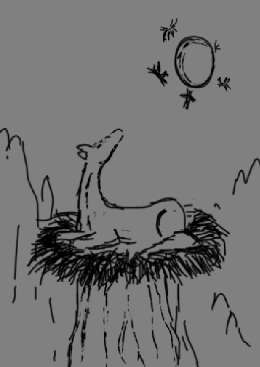 Sketch