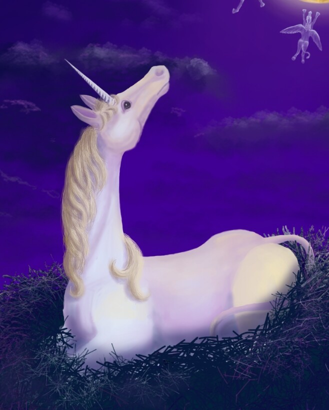 Big Unicorn