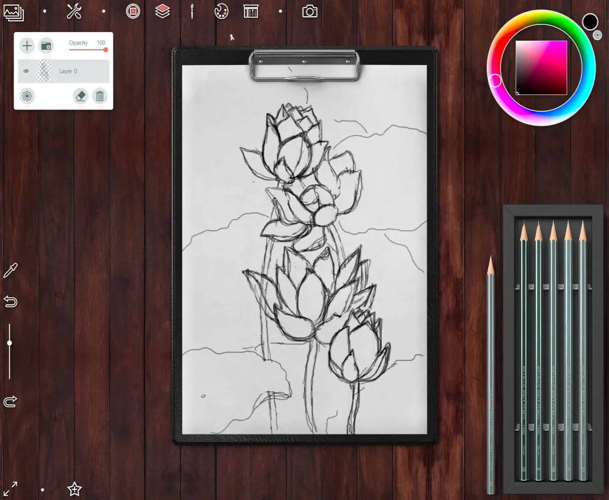 Sketch
