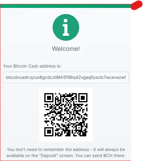 My Bitcoin Cash Wallet