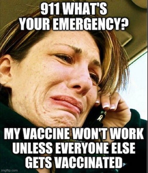 92d25882c9cb0bdddd351d9f513afd6b226952f768802685af1ba448e913df0d.jpg