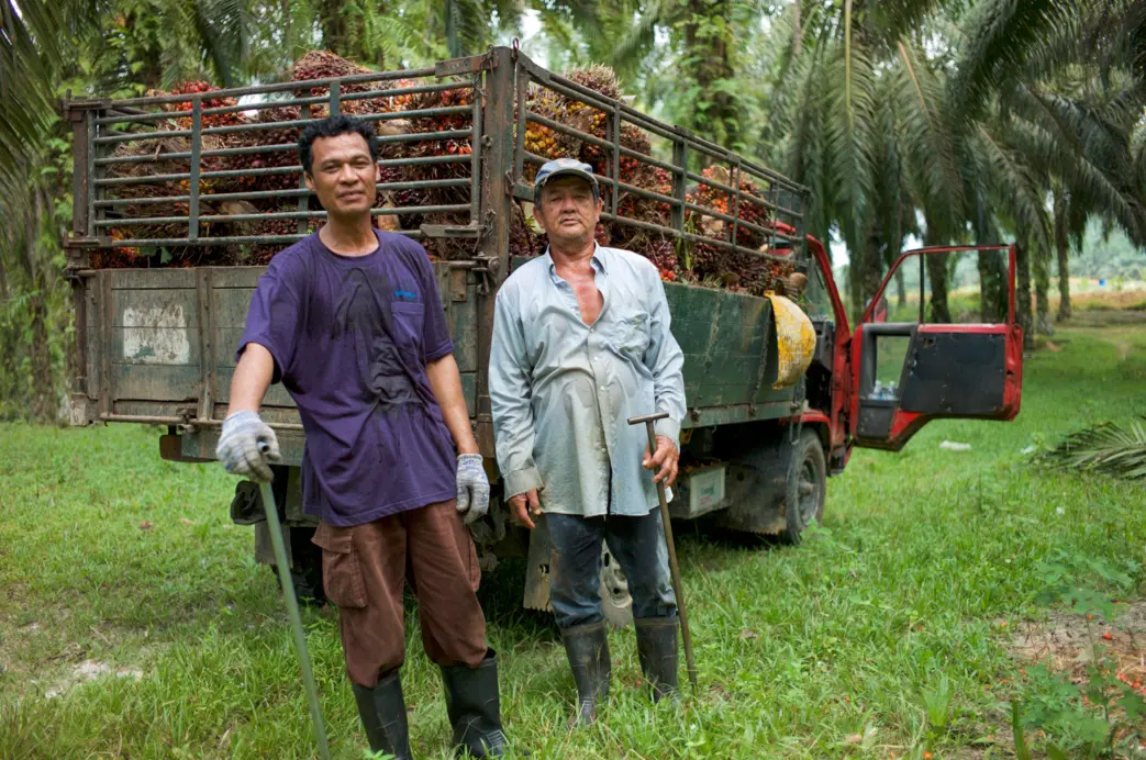 Harvesters in front of their truck