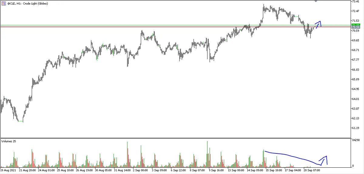 Crude Oil