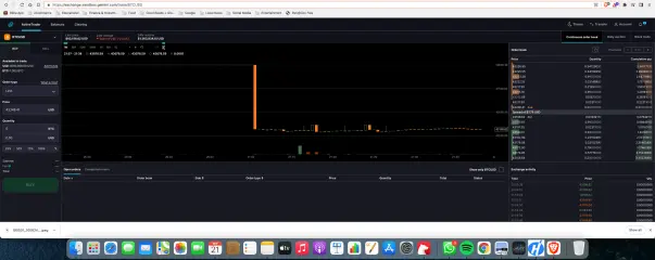 Gemini sandbox
