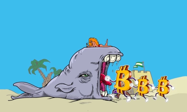 351665157-17d76e8e709c95596d507741202fa2826fd7b7cab65291dfdbcb535b96e98139.jpeg