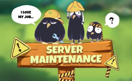 SERVER MAINTENANCE