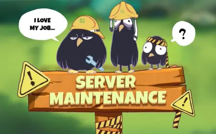 SERVER MAINTENANCE