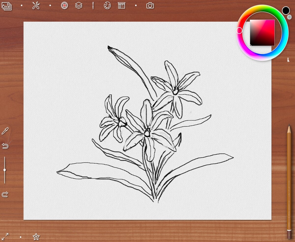 Sketch
