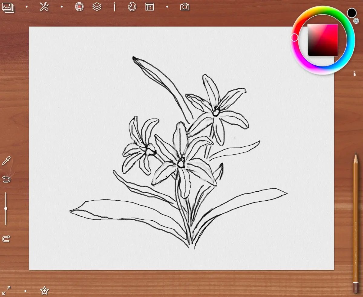 Sketch