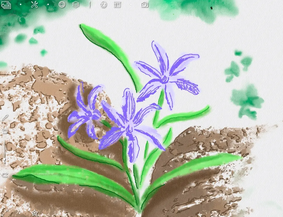 Counturs of petals