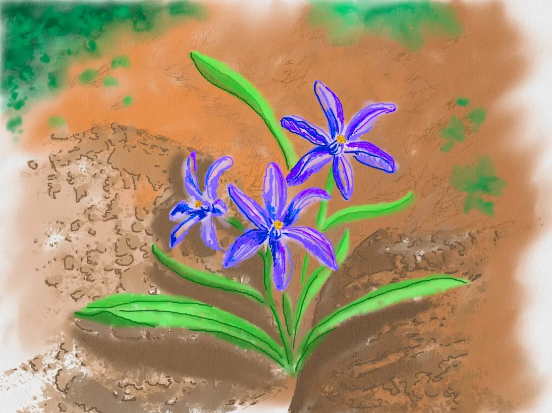 Ready flowers