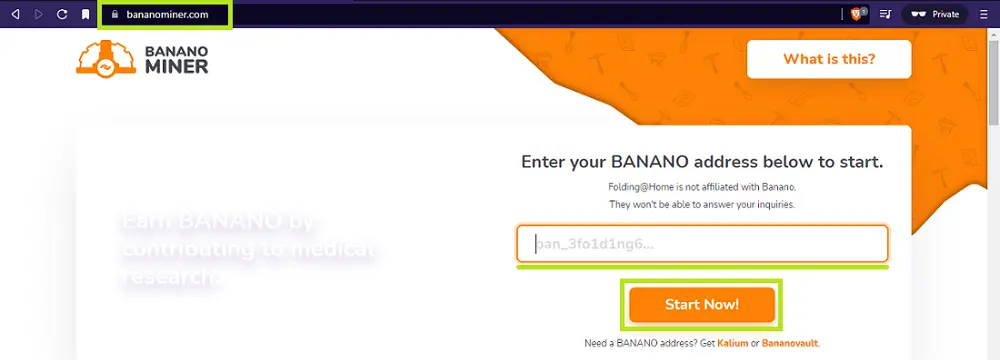 Bananominer - get your name - udinxyz