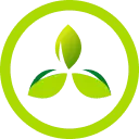 Farmers World Gold Coin FWG Logo