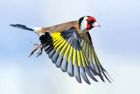 33b4198d500d61a4e95e22b54f4cc804b4b79b0397b5ebd20989cc7caaefd01d.jpg