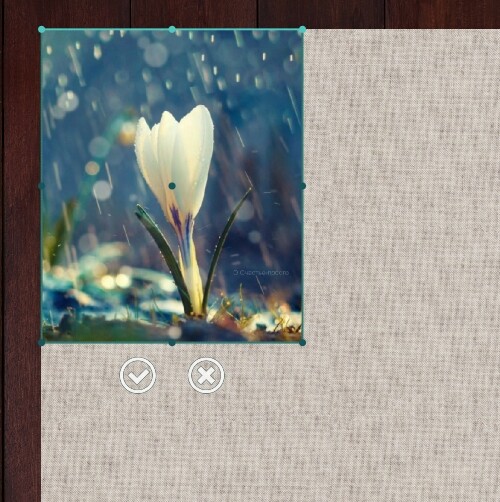 Resize