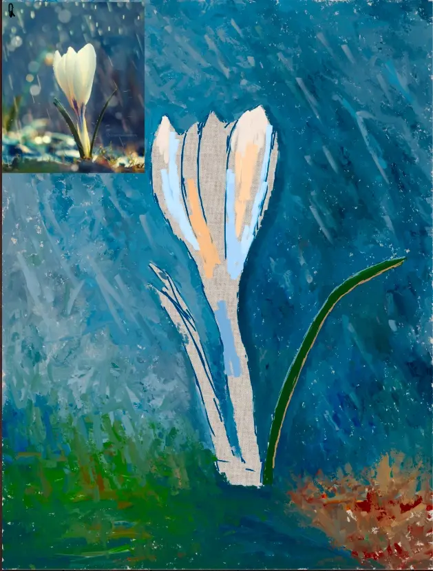 Crocus