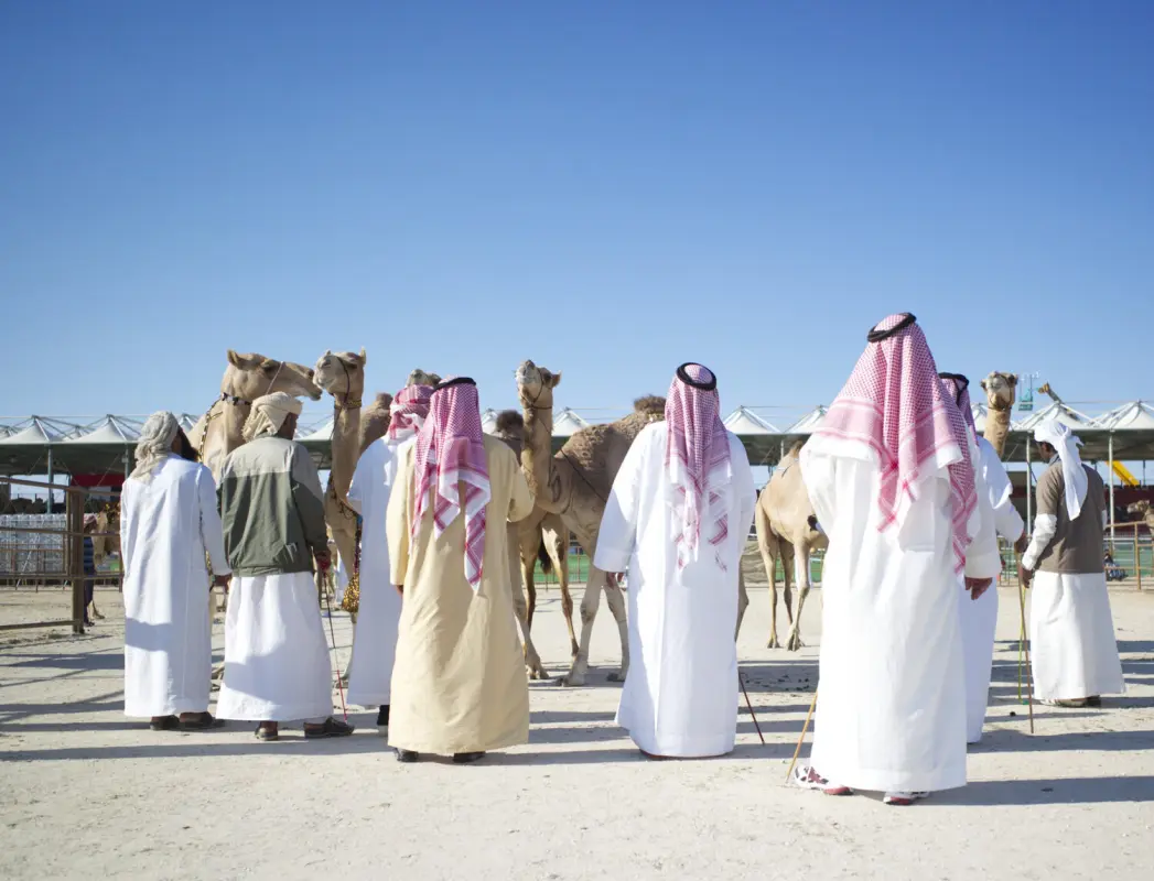 Bargaining camels